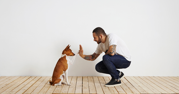 dog obedience training schedule