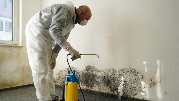 Will a home inspector look for mold