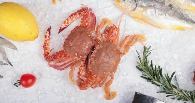image-25 How to Ship Frozen Seafood Without Losing Quality