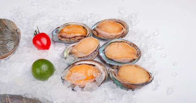 image-26 How to Ship Frozen Seafood Without Losing Quality