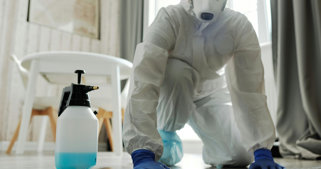 1-2-1024x538 Are Carpet Cleaning Businesses Profitable?