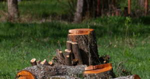 is tree removal tax deductible