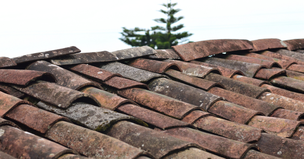 Untitled-design-2025-11-27T170941.033-1024x538 Are Roofing Shingles Toxic? A Practical Safety Guide