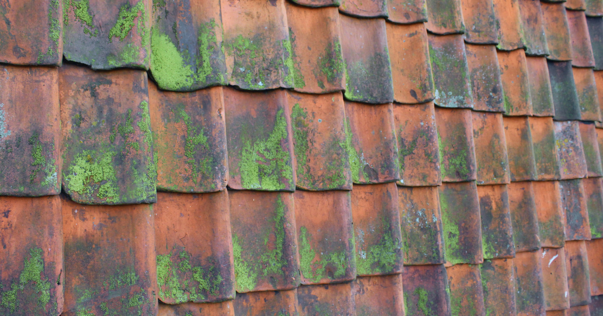 Are roofing shingles toxic