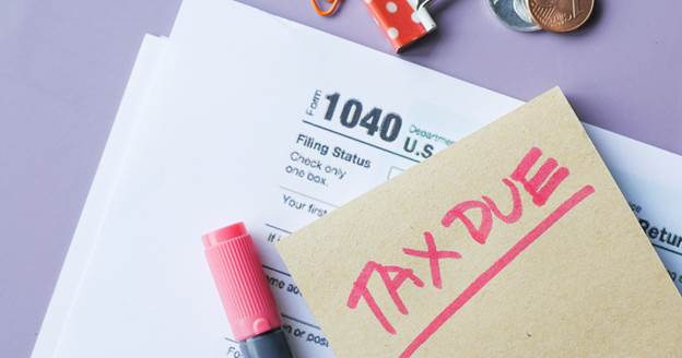 image-29 Is Tree Removal Tax Deductible? Rules for Homeowners